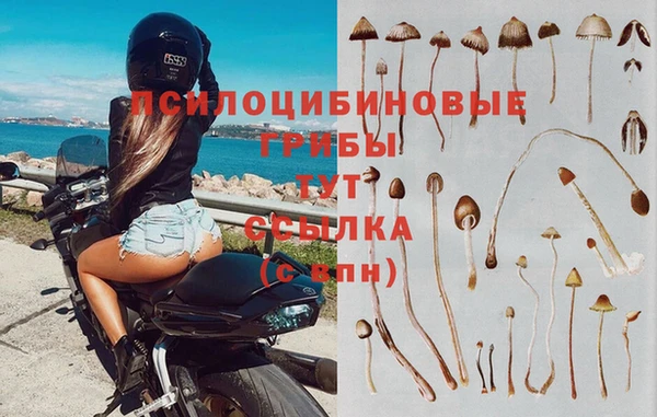 синтетический гашиш Лихославль