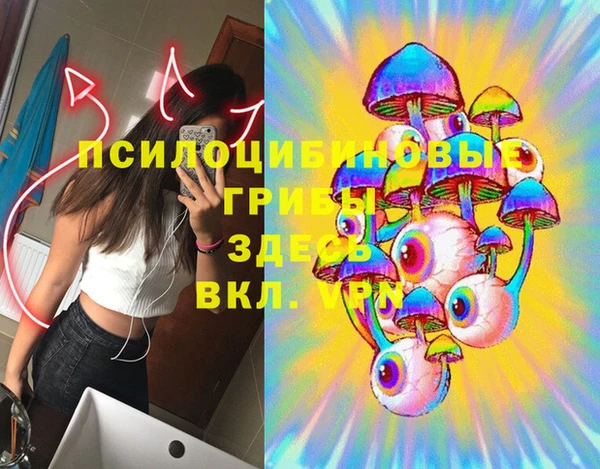 дурь Лагань