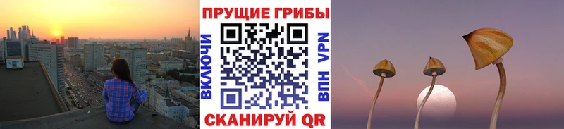 Галлюциногенные грибы Psilocybine cubensis  Красновишерск 